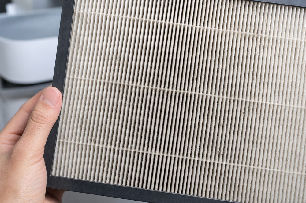 明るい光の下でフィルターの汚れを詳しく確認している様子