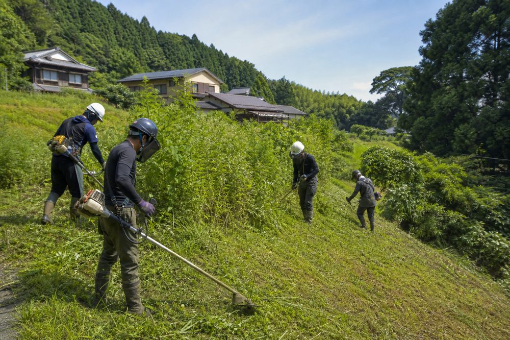 湯来町の斜面で草刈り代行業者がチームで作業している場面